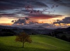 La tranquillità che precede il crepuscolo La tranquillità che precede il crepuscolo