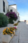 Termoli Termoli