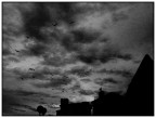 uccelli e nuvole b/w uccelli e nuvole b/w