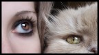 Eyes Eyes
