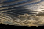 sky sky