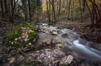 Torrente Torrente
