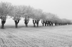 winter is coming winter is coming