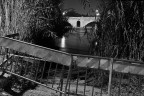 Allerta tevere Allerta tevere