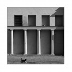 ferragosto ferragosto