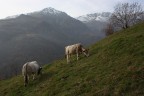 In montagna In montagna
