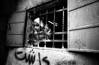 Gaza's Innocence Gaza's Innocence