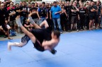 combattimenti combattimenti