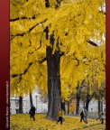 Autunno Autunno