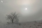 Montenetto Fog Montenetto Fog