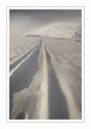 Tracks Tracks