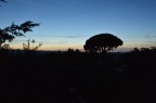 TRAMONTO 1 TRAMONTO 1
