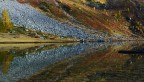 Linee riflesse Linee riflesse