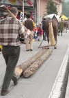 Il ritorno dal Bosco2... Il ritorno dal Bosco2...
