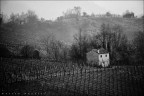 Arriva l'inverno Arriva l'inverno