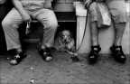 si fanno compagnia... si fanno compagnia...