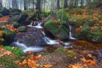 Autunno fatato Autunno fatato