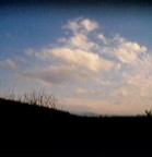 ....questa � la prima foto che ho scattato con il mio cellulare!