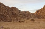Deserto del Sinai.Novembre 2012