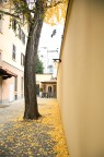 giallo giallo