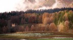 la casa nel bosco la casa nel bosco