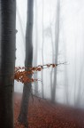 Tracce d'autunno Tracce d'autunno
