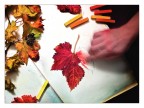 Colori dell'autunno Colori dell'autunno
