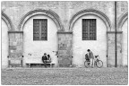 amori amori