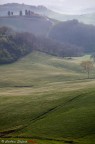 LANDSCAPE LANDSCAPE
