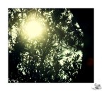 Una passeggiata al Ciolo..

Inizio di Settembre, 2012.