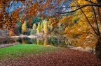 Autunno a Cei Autunno a Cei
