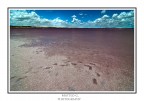 Pink Lake Pink Lake