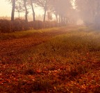 [Contest 67] - "I colori dell'autunno"