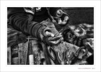 mani che lavorano mani che lavorano