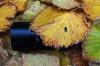 "Autunno Rosso" "Autunno Rosso"
