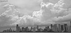 Miami Miami