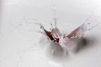 Splash #1