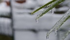 Il senso della neve... Il senso della neve...