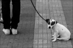 Uffa...che noia Uffa...che noia