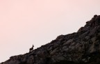 il profilo del re delle cime d'Abruzzo il profilo del re delle cime d'Abruzzo