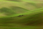 Paesaggi toscani Paesaggi toscani