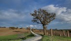 campagna marchigiana campagna marchigiana