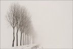 Nel candido...svanire Nel candido...svanire