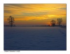 3 Alberi & Tramonto 3 Alberi & Tramonto