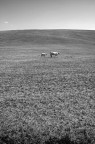 A tutto campo A tutto campo