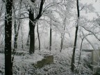 magia dell'inverno magia dell'inverno