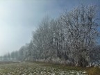 La nebbia si dirada... e lascia la sorpresa! La nebbia si dirada... e lascia la sorpresa!