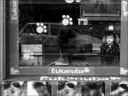 Tanti sguardi Tanti sguardi