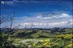 colline toscane