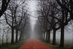 Una nuova strada..... Una nuova strada.....